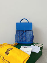 Load image into Gallery viewer, St Backpack Mini (6 colors)
